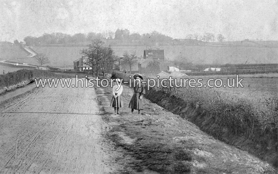 Romford Road, Hainault from Chigwell Row, Essex. c.1904